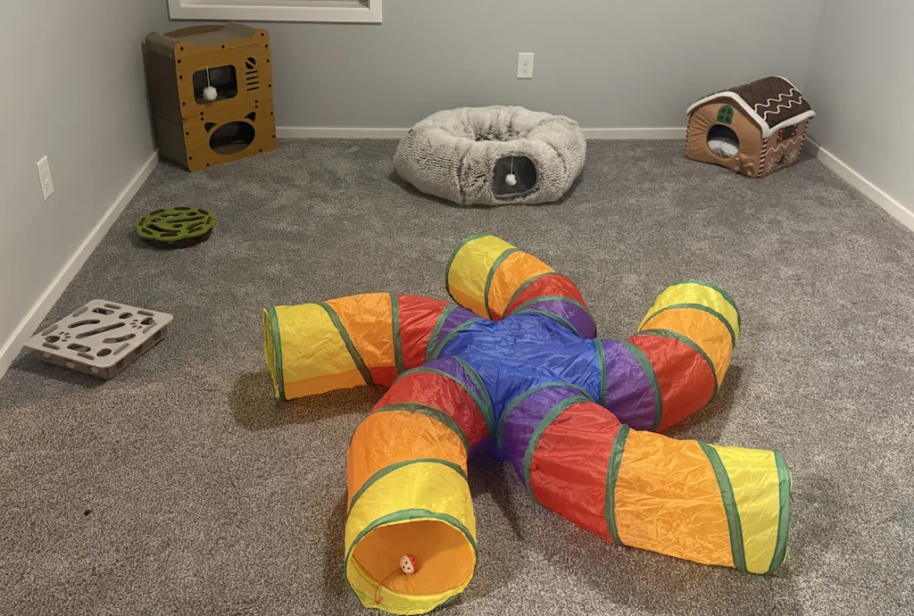 Cat boarding facilities