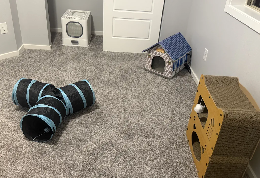 Cat boarding environment