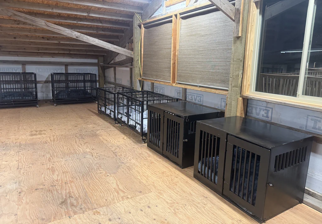 Comfortable kennel accommodations