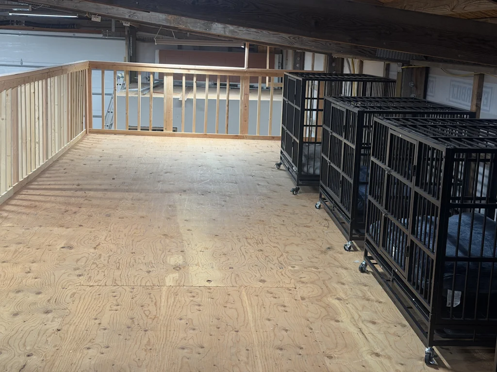 Spacious kennel facilities